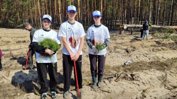 В Гусь-Хрустальном районе прошла акция «Сад памяти»