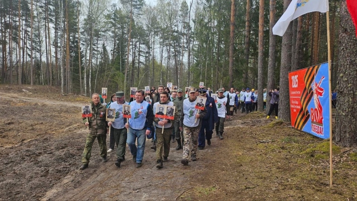 В Нижегородской области высадили 23 тысячи сосен в рамках акции «Сад памяти» в честь 80-летия Победы в Великой Отечественной войне