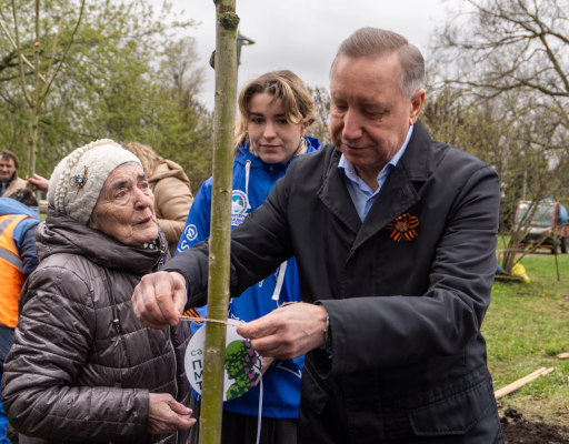 Сад в память о защитниках Родины