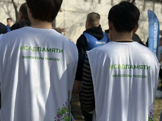 В Астраханской области дали старт Международной акции «Сад памяти»